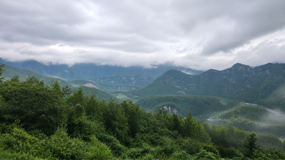 astrology transit timing — misty Korean mountain landscape, seeding phase when results arrive late