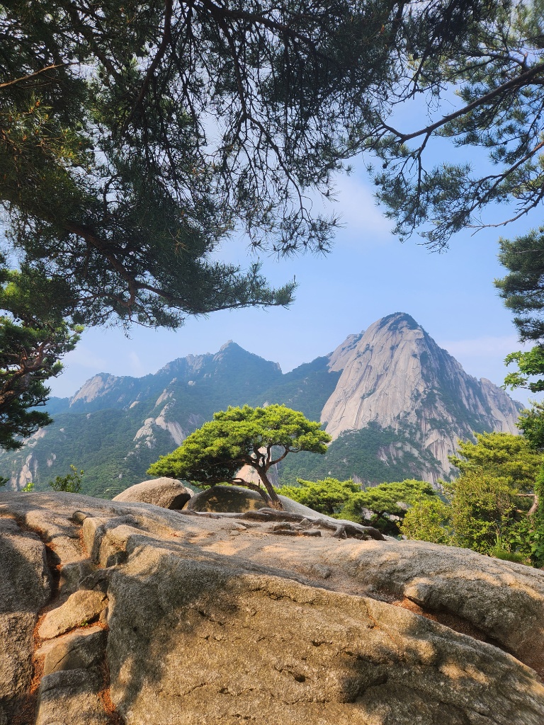 What is K-Saju — Bukhansan granite peaks with pine tree on rocky outcrop, Seoul, photorealistic