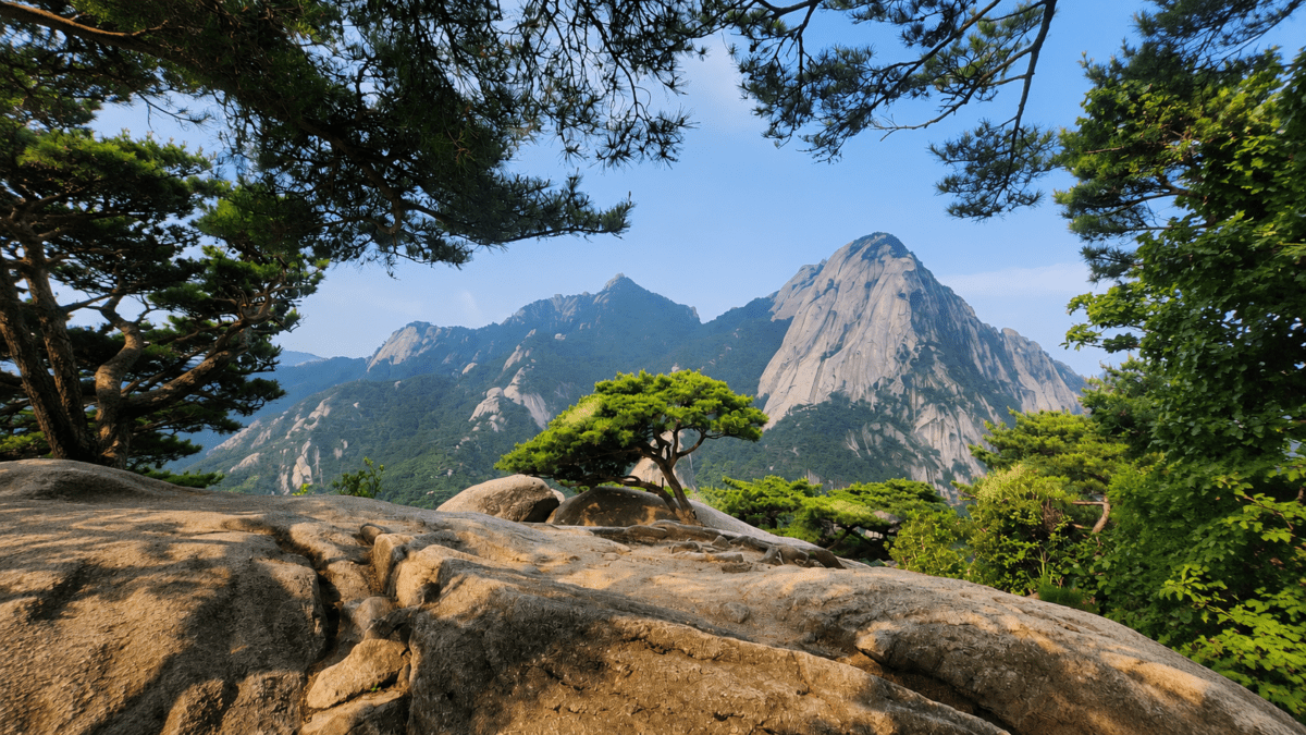korean timing system K-Saju — Bukhansan granite peaks with pine tree on rocky outcrop, Seoul, photorealistic