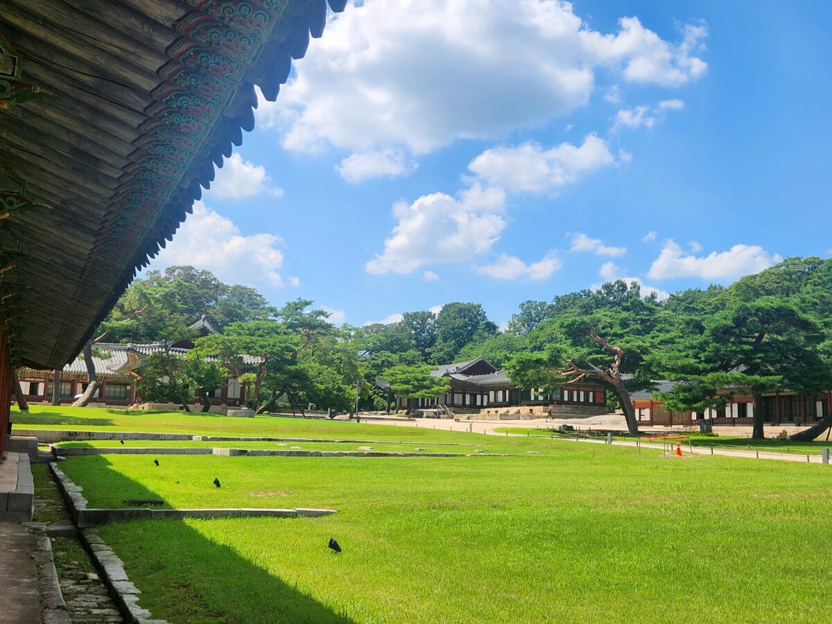 Wide open lawn of Changdeokgung Palace framed by pine trees and traditional halls beneath a summer sky, Seoul