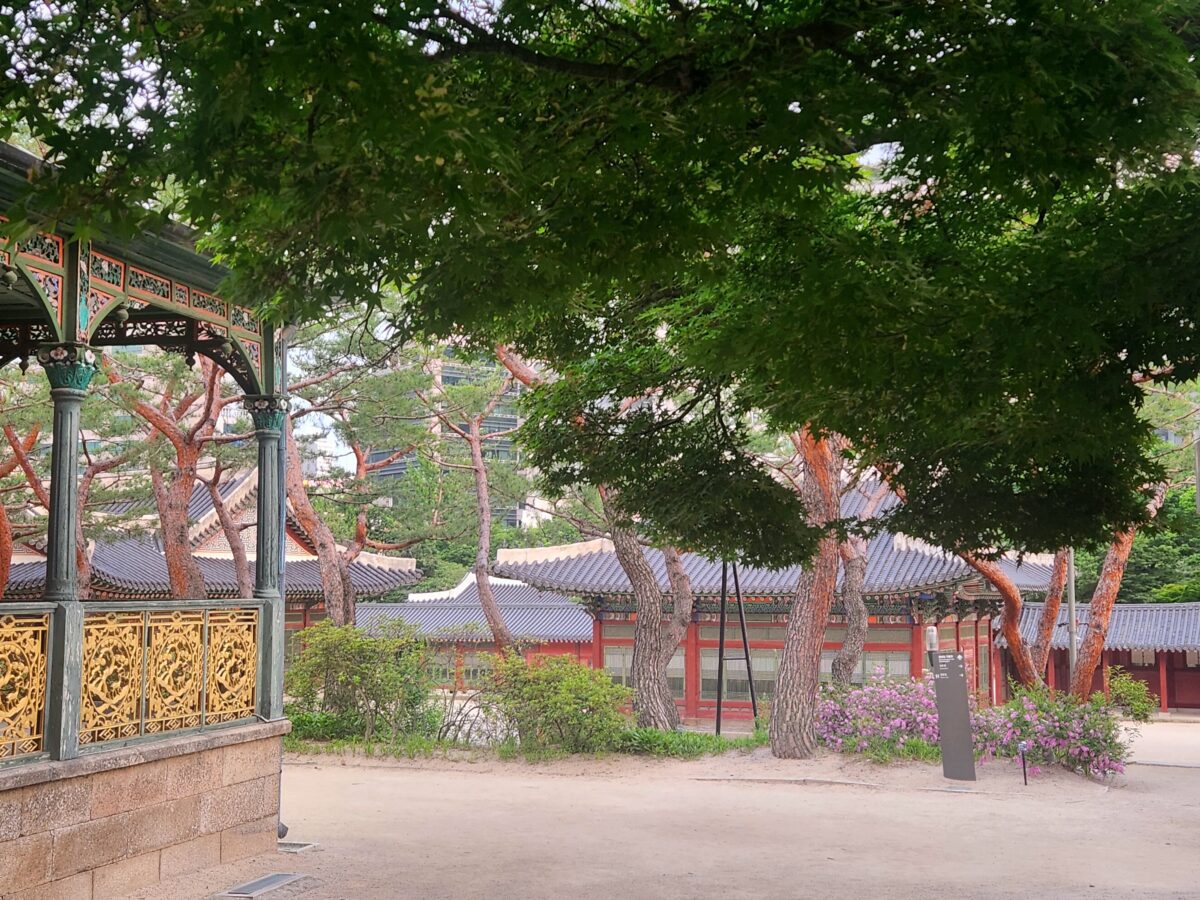 Hanok pavilion visible through summer trees at Changdeokgung — fear of getting close to someone