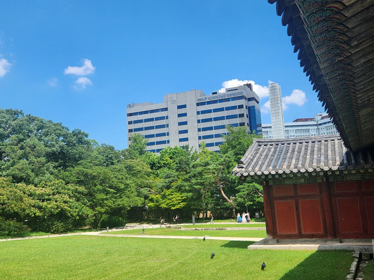 Changgyeonggung Palace pavilion and lawn with a modern hospital building visible beyond the treeline, Seoul