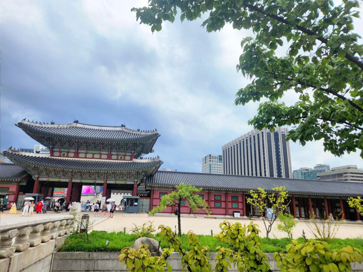Tarot timing reading — Gwanghwamun Palace Gate Seoul K-Saju