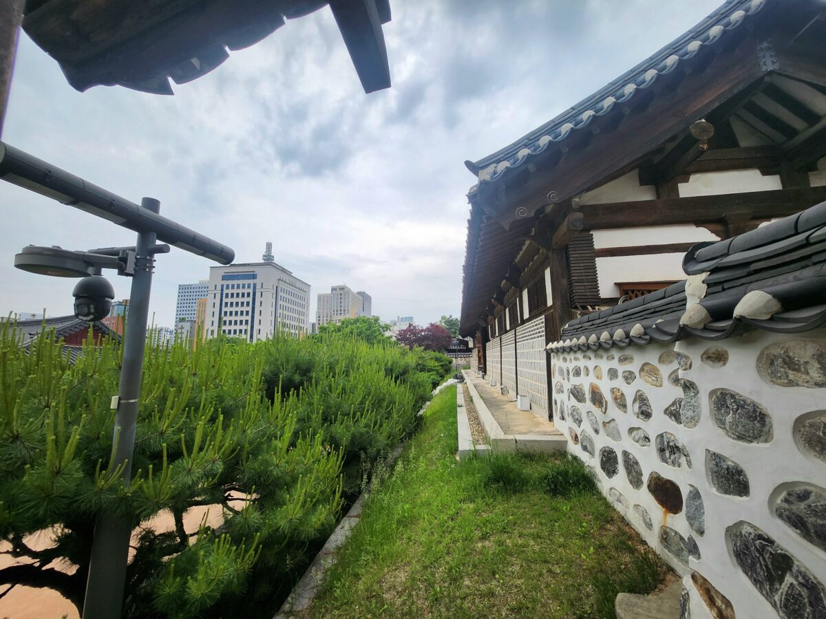 A narrow path alongside a hanok stone wall with young pine trees, modern Seoul buildings visible beyond