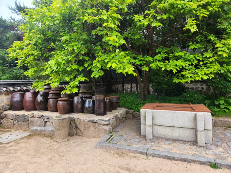 Five Phases K-Saju — Traditional Korean Jangdokdae ceramic jars under trees in Hanok courtyard, Seoul
