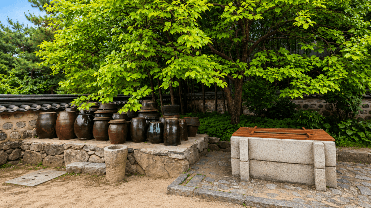 Five Phases K-Saju — Traditional Korean Jangdokdae ceramic jars under trees in Hanok courtyard, Seoul