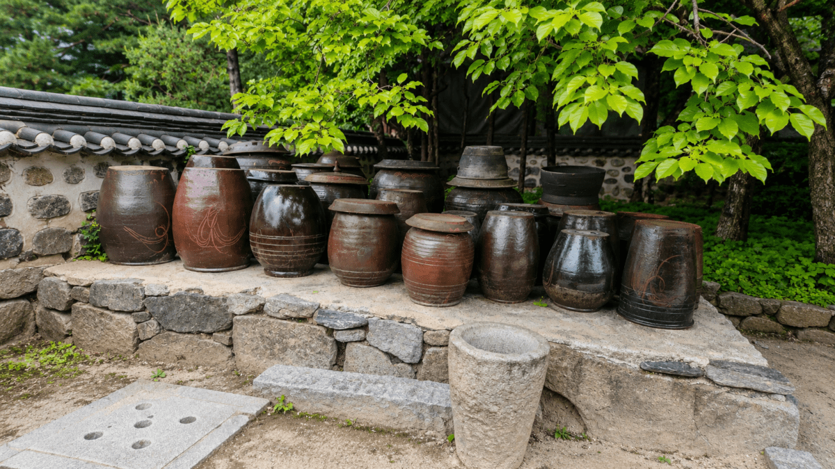 Rows of traditional jang jars sit under summer trees on a stone platform — Korean jang