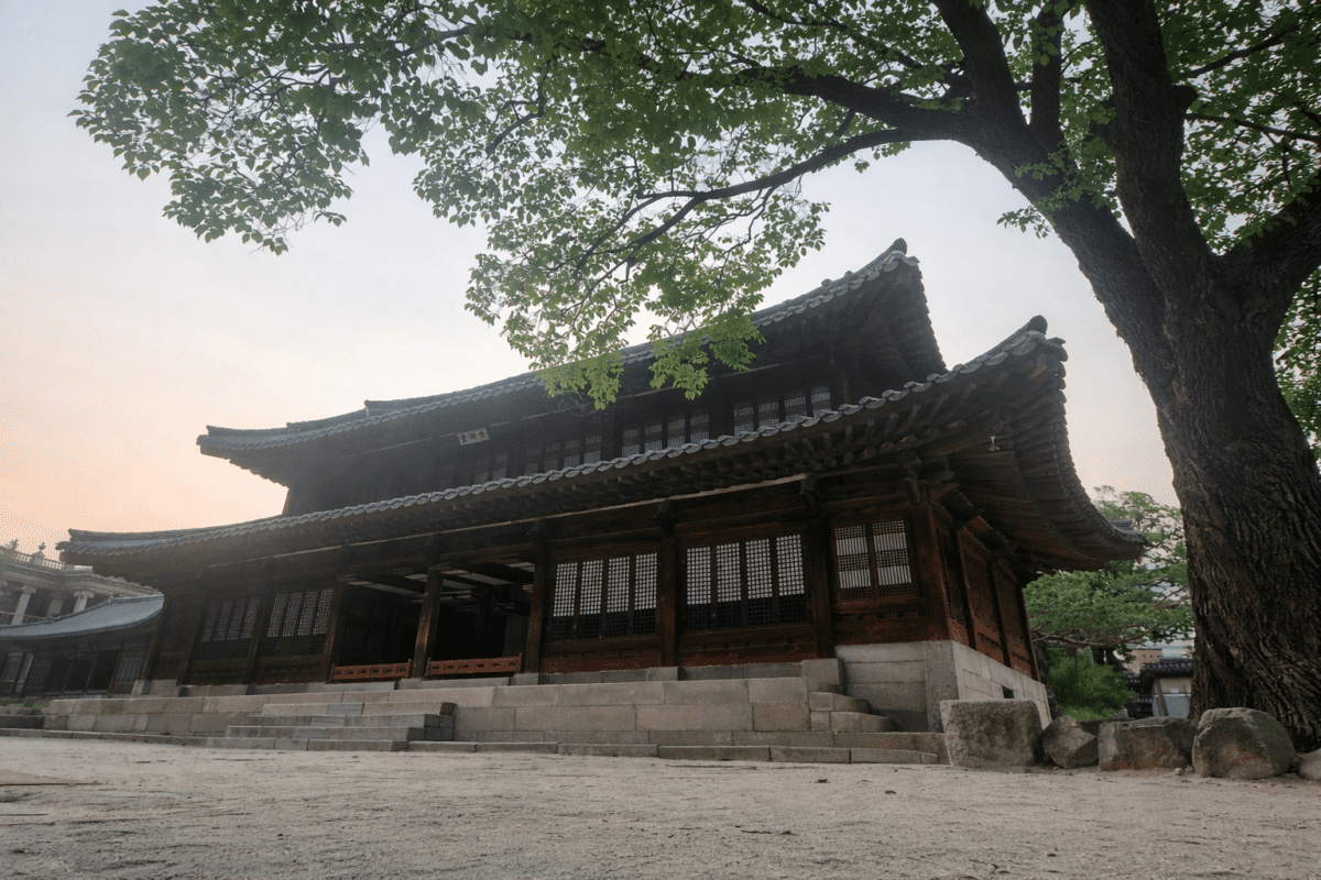 outgrowing friendships — empty Korean palace courtyard at dusk, large tree beside the building