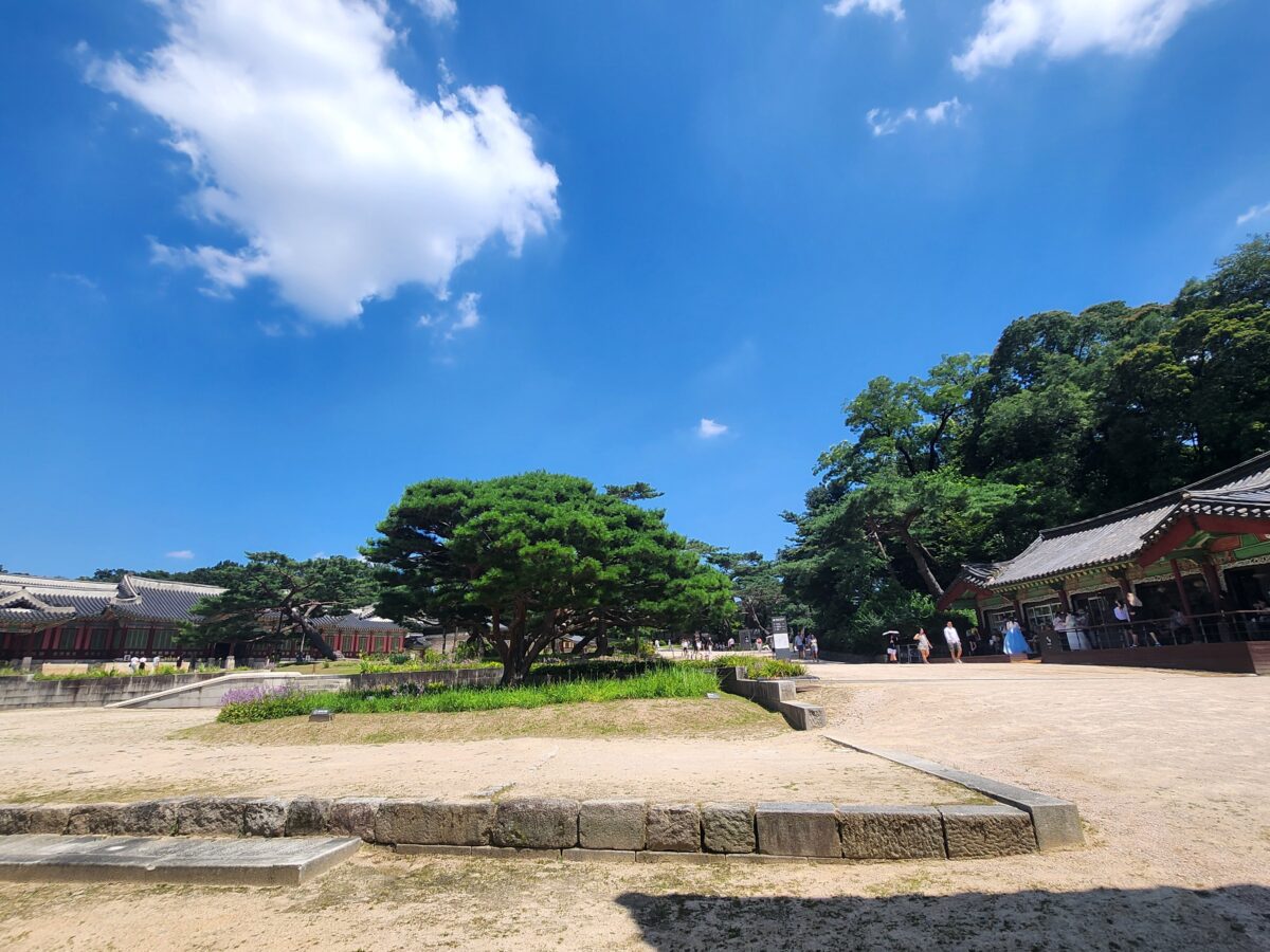 Changdeokgung Palace courtyard, wide open space after the battle, stop fighting your inner critic, quiet under blue sky