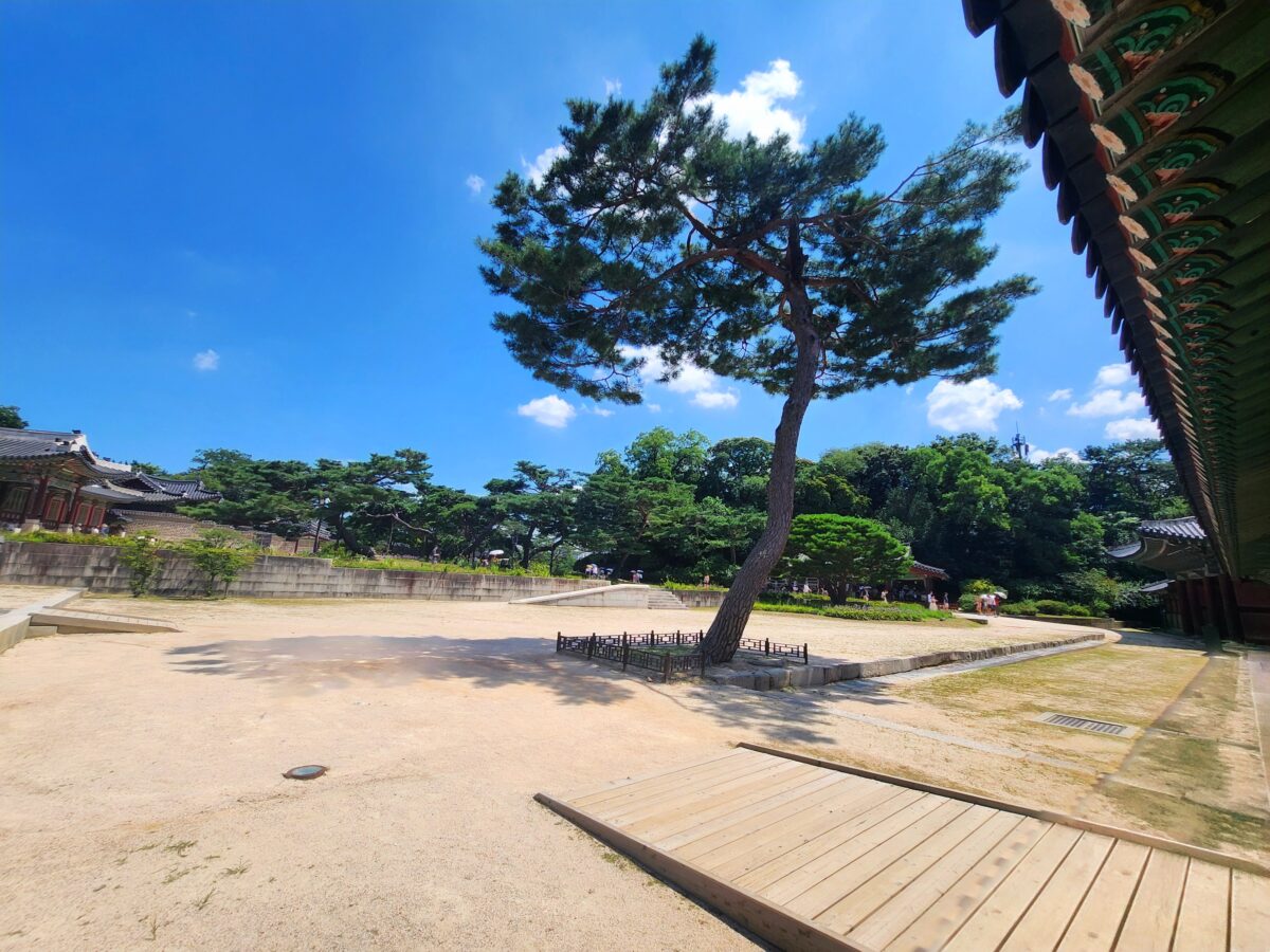 Paradox of being seen and holding back, Changdeokgung garden setting