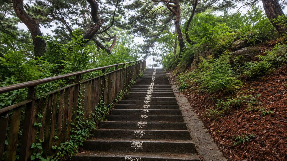western astrology vs K-Saju — stone stairs through Korean forest, two systems different paths same destination