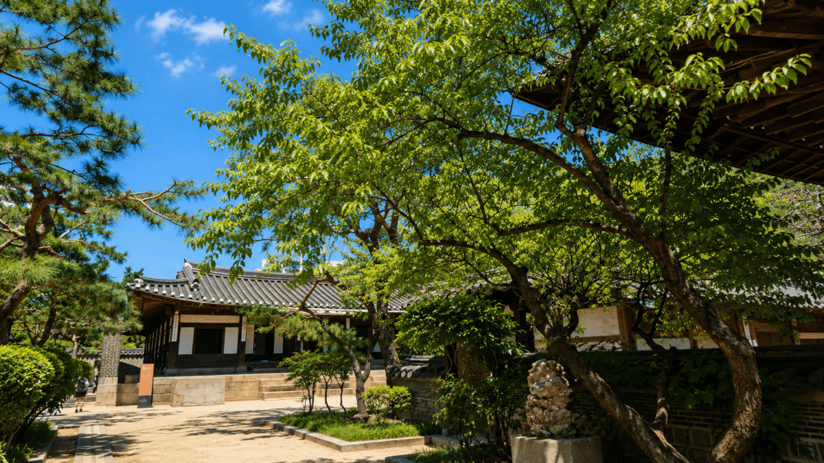 Hanok courtyard with trees in summer sunlight — yin yang identity phase transition in K-Saju