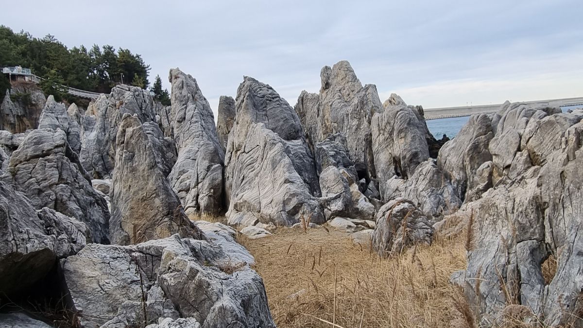 afternoon cycle meaning in astrology — jagged limestone rocks standing along the Korean east coast under soft afternoon sky