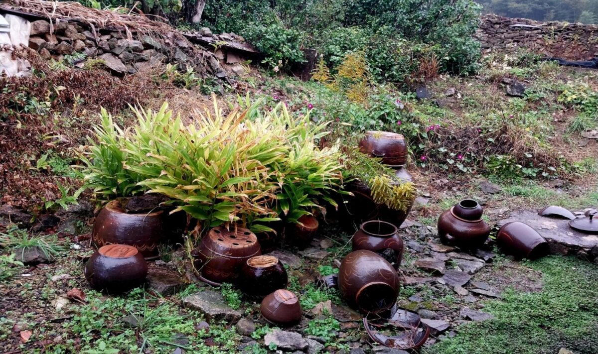 ```
tiger hour meaning in astrology — onggi jars left among wild plants growing through a forgotten garden
```