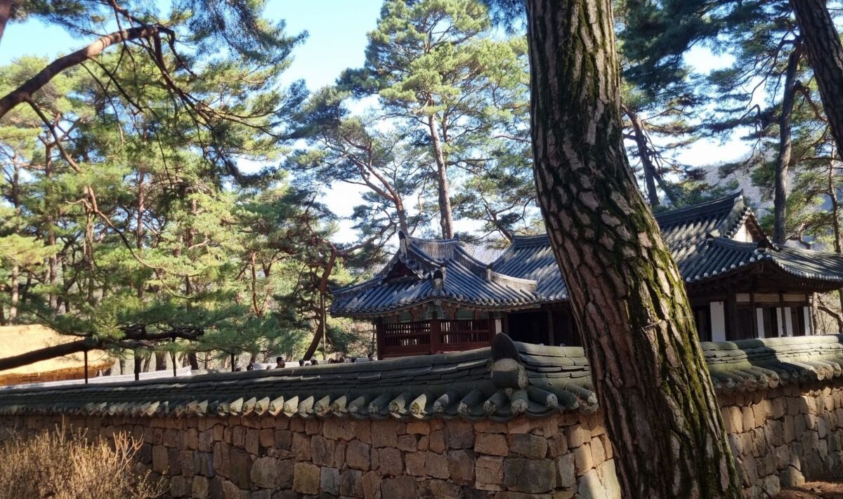midnight hour meaning in astrology — a quiet hanok courtyard resting under pine trees in winter light