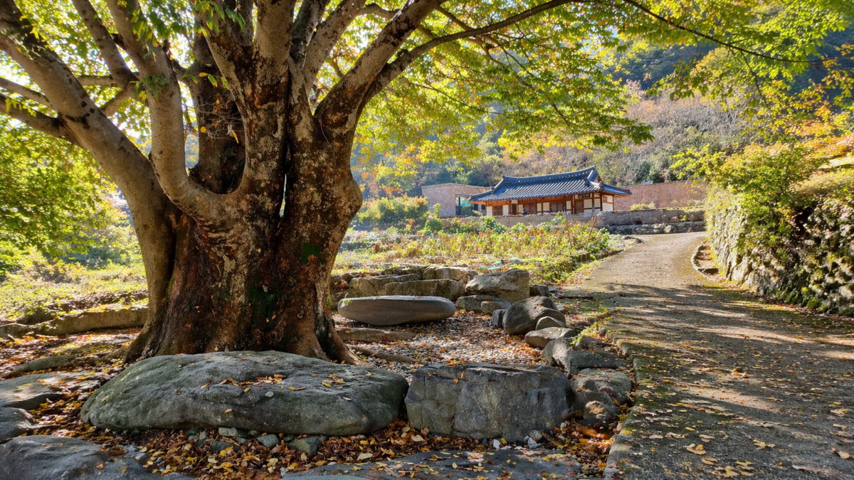Burnout blocks multiple areas: ancient tree with paused path illustrating structural stillness when career, relationships, and body stall simultaneously during energy transition