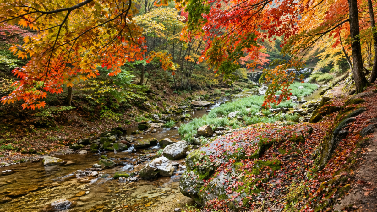 winter threshold astrology meaning — a forest stream flowing through autumn maple leaves and mossy rocks