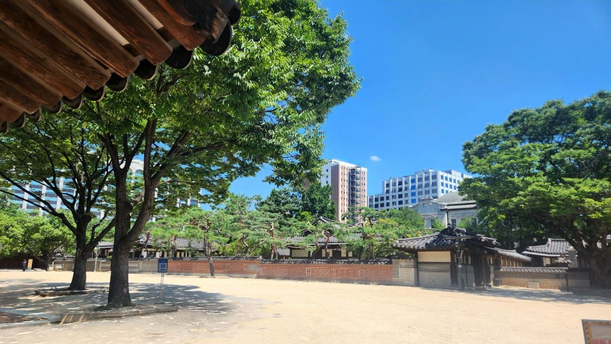 yang metal stem in K-Saju — traditional Korean palace courtyard with pruned pines against modern Seoul skyline