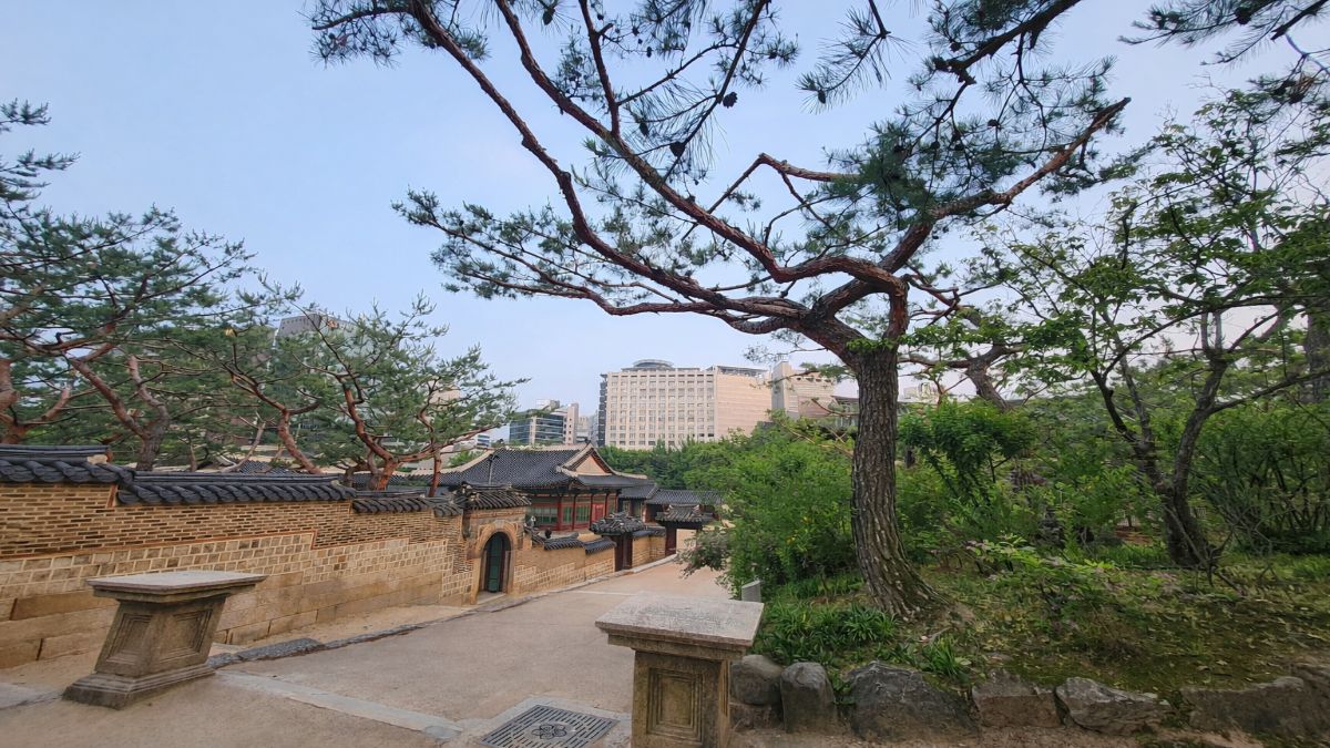 A winding stone path beside a traditional palace wall with pine trees and modern buildings beyond, symbolizing the yang water stem in K-Saju