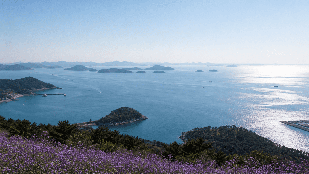 Ocean islands and purple flowers in Shinan, the birthplace that shaped the quiet vision behind the Kim Whanki dot