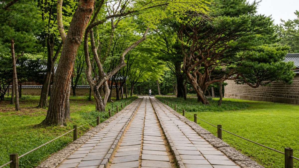A straight pathway through Korean traditional grounds lined with trees, symbolizing how school lunch system structure determines direction and outcomes.