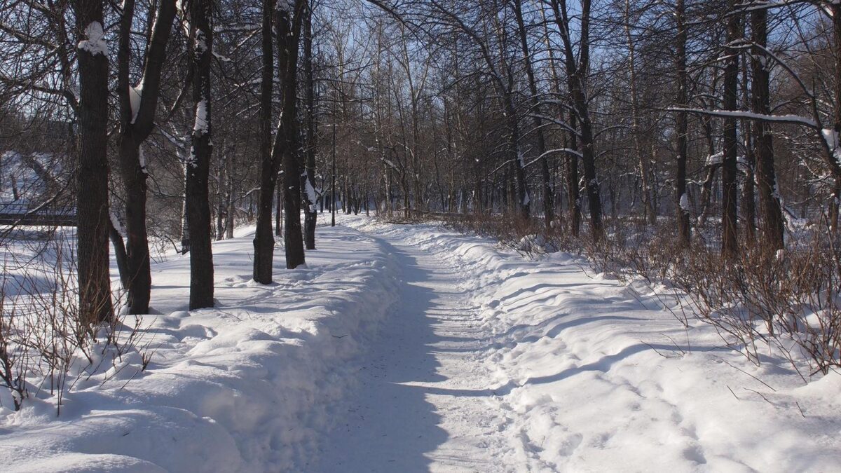 Who you are and where you are on a winter path: the same effort produces different results by season.