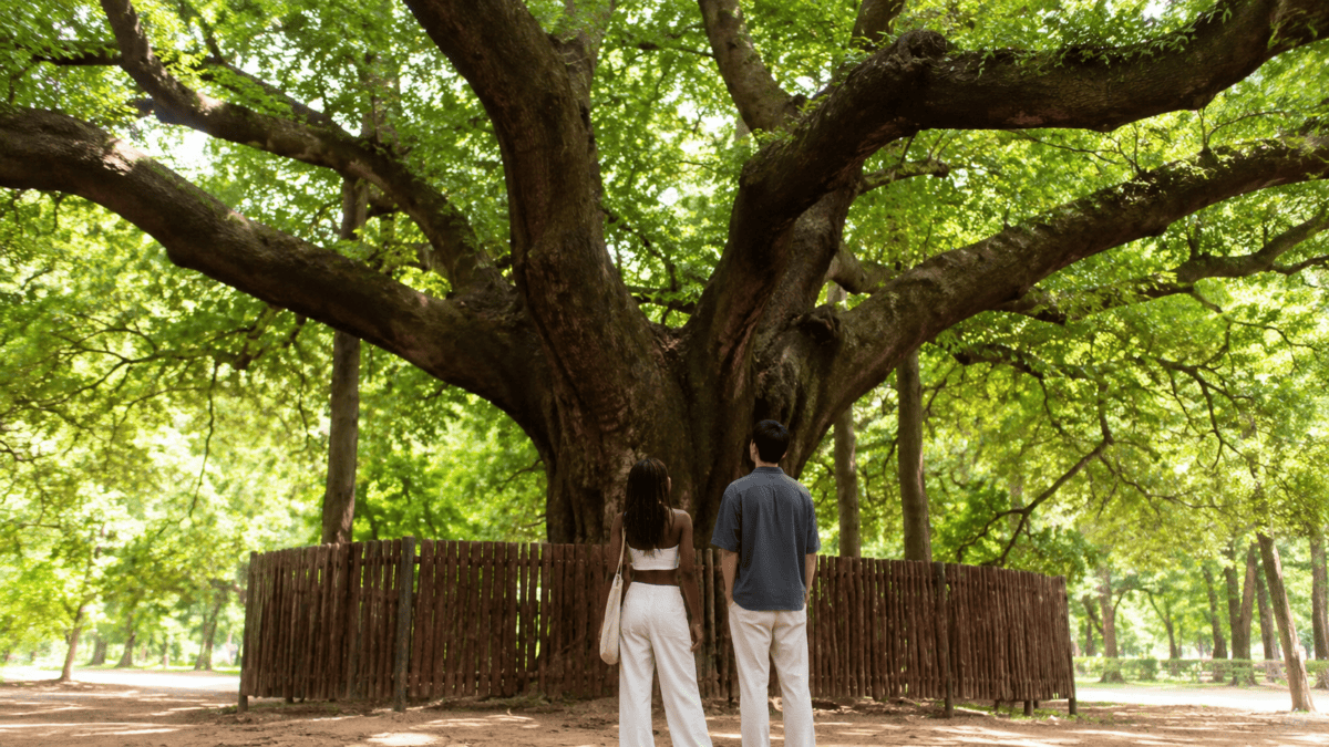 Couple sits on stone steps by a pavilion, late light through the old trees — evening comes to this Damyang forest.