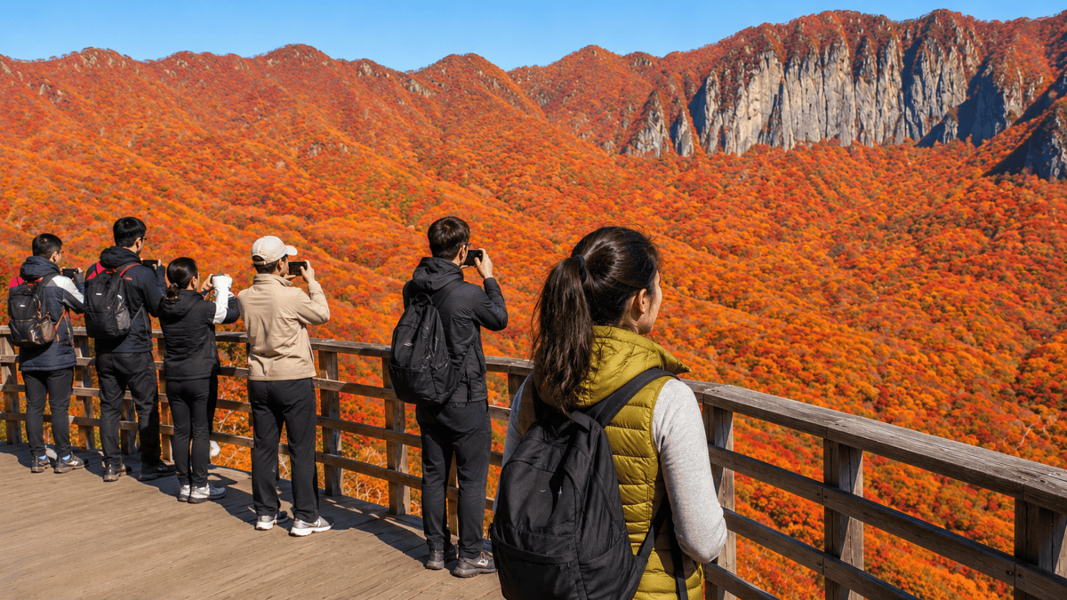 Nine peaks standing in a horseshoe around a basin of red foliage, seen from a wooden observation deck.